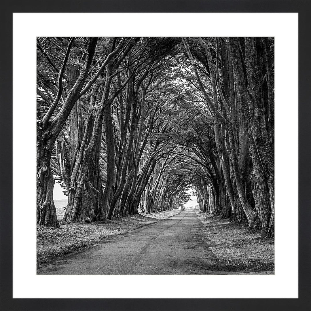 Nature's Path