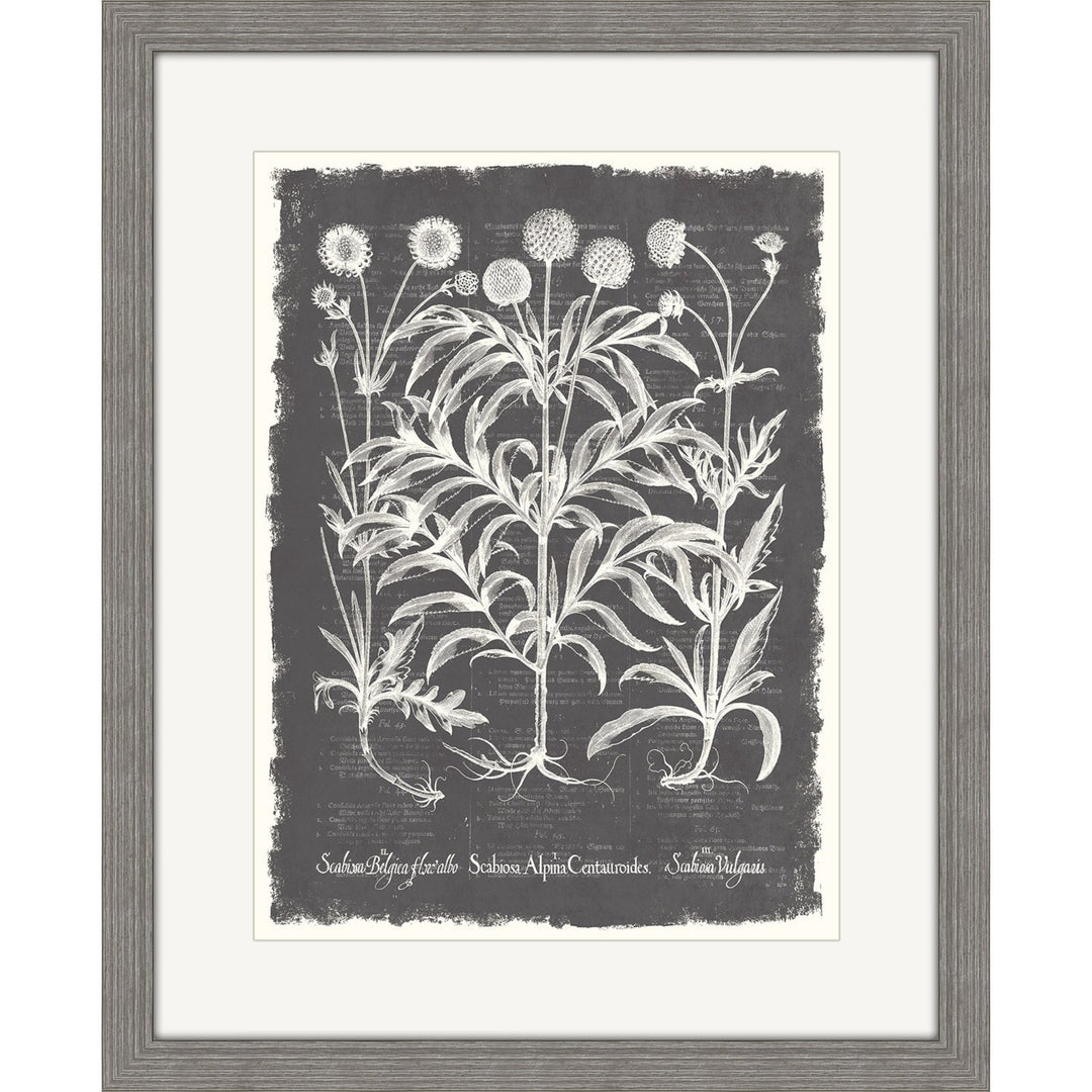 Grey wall art plant painting.