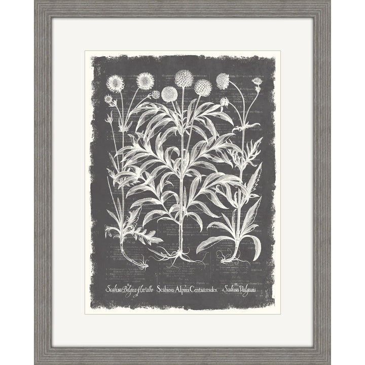 Grey wall art plant painting.