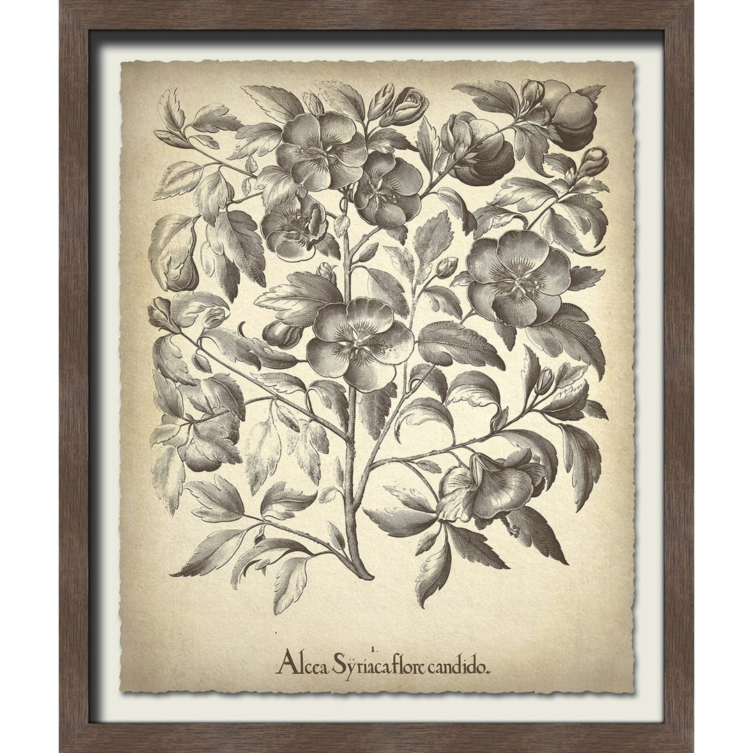 Brown colored vintage flower wall art.