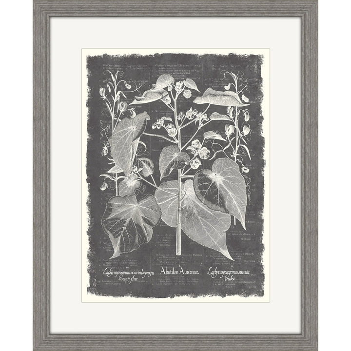 Besler on Slate