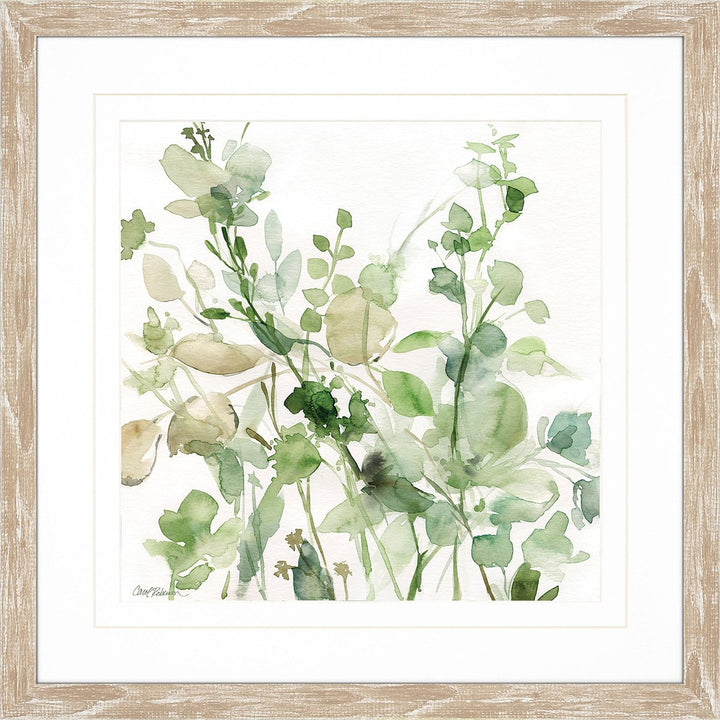 Sage Garden