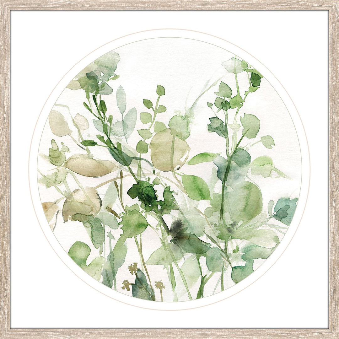 Sage Garden II