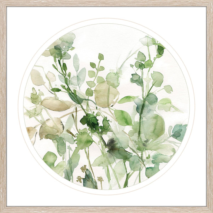 Sage Garden II