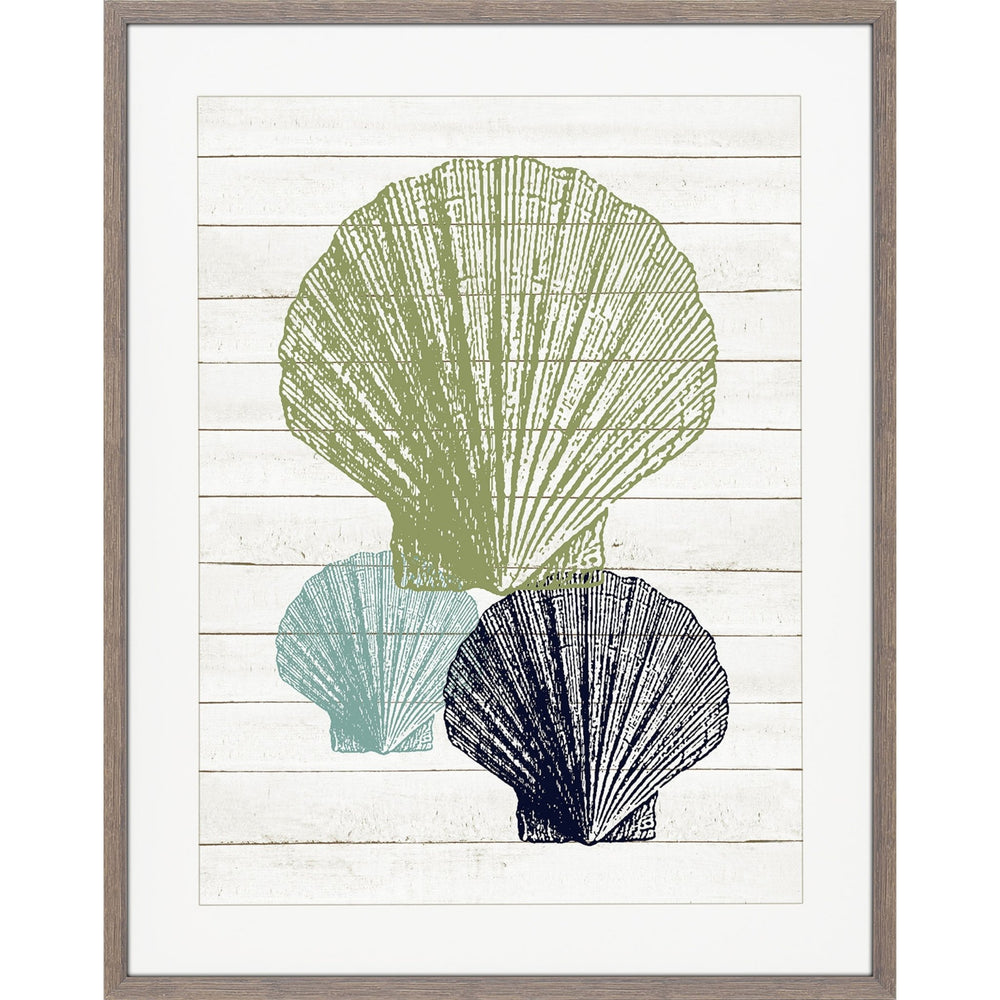 Seashell Wall Art.