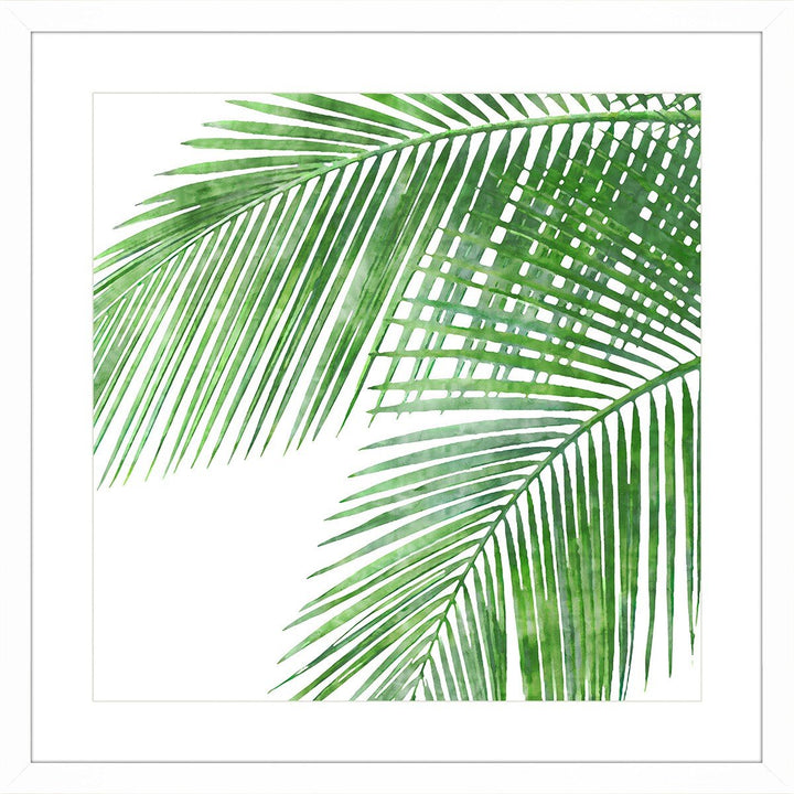 Breezy Palms