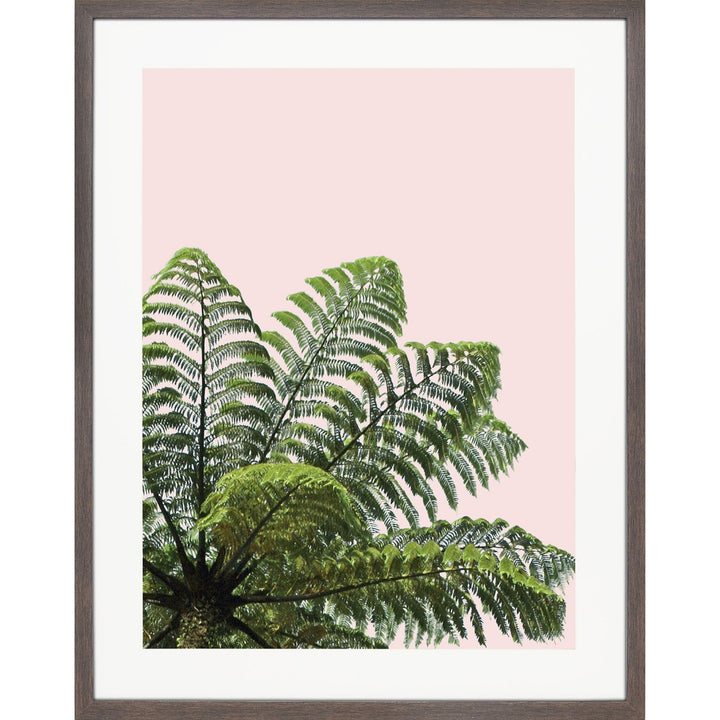 Balmy Palms