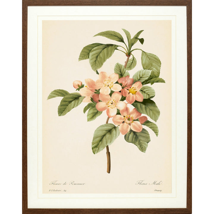 Vintage Blooms