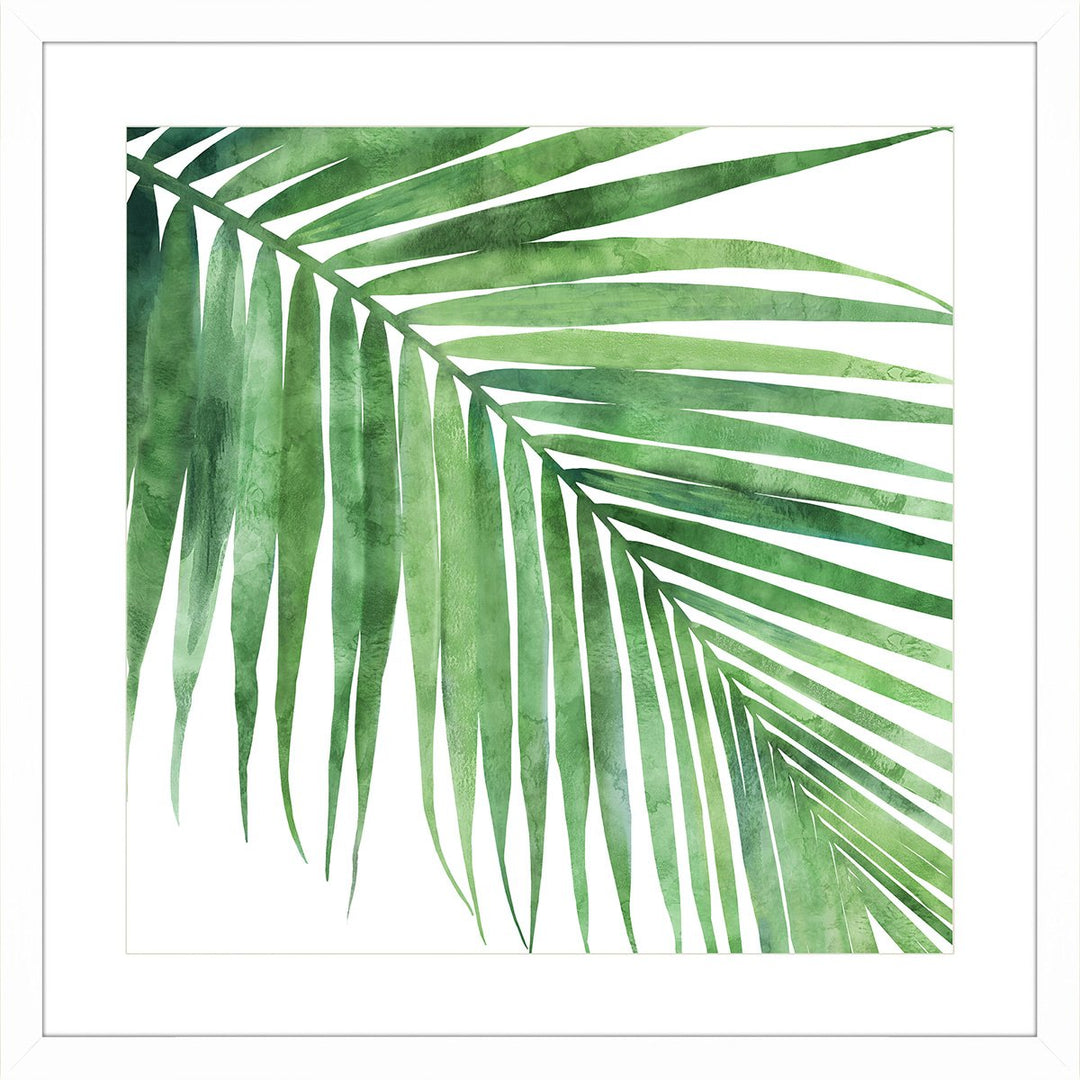 Wall art framed print featuring the green palm leaf.