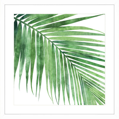 Wall art framed print featuring the green palm leaf.