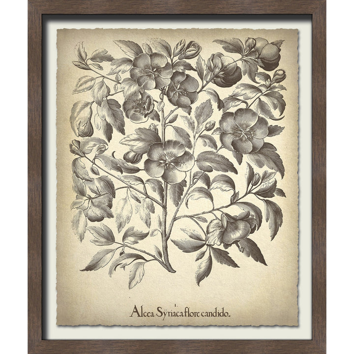 Brown colored vintage flower wall art.