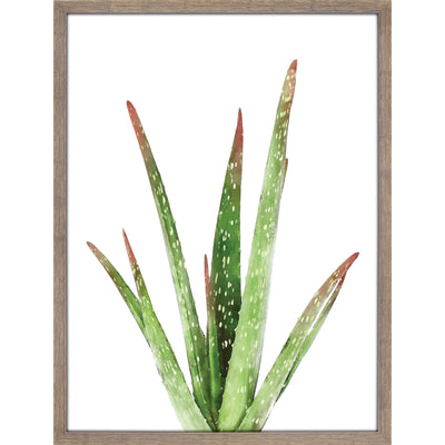 Large green succulent plant wall art.