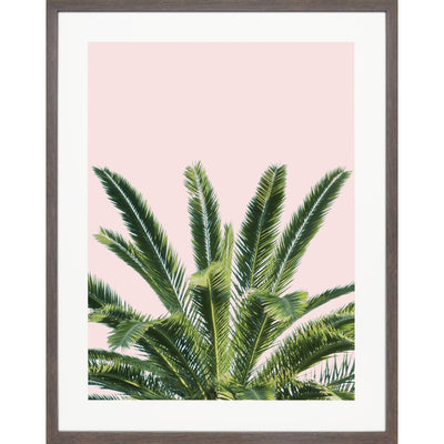 Green palm tree with light pink background and brown wood frame.