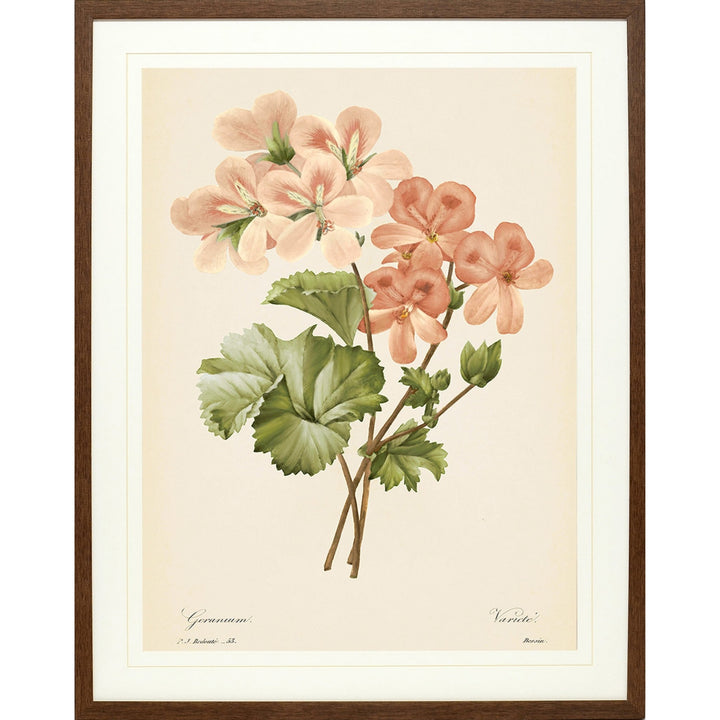 Vintage Blooms