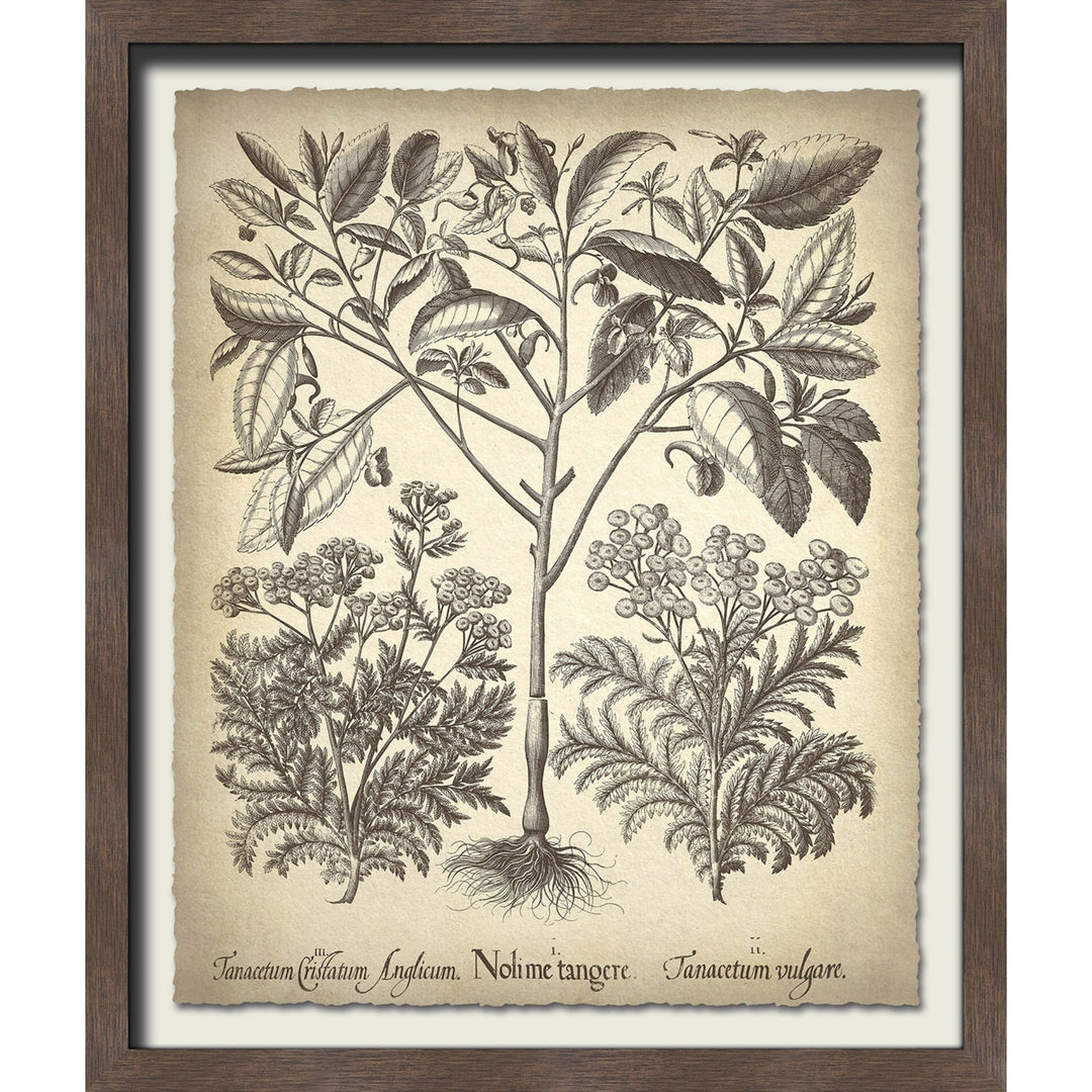 Brown colored vintage flower wall art.