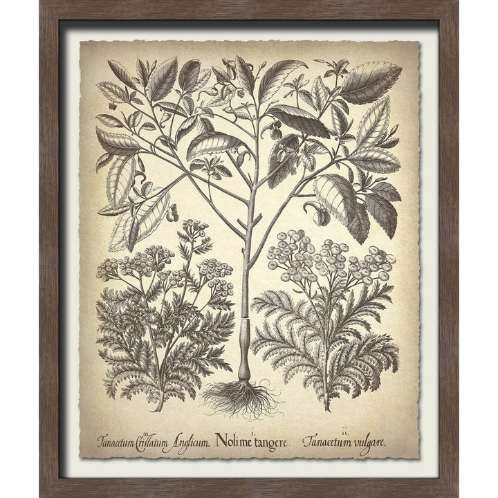 Brown colored vintage flower wall art.
