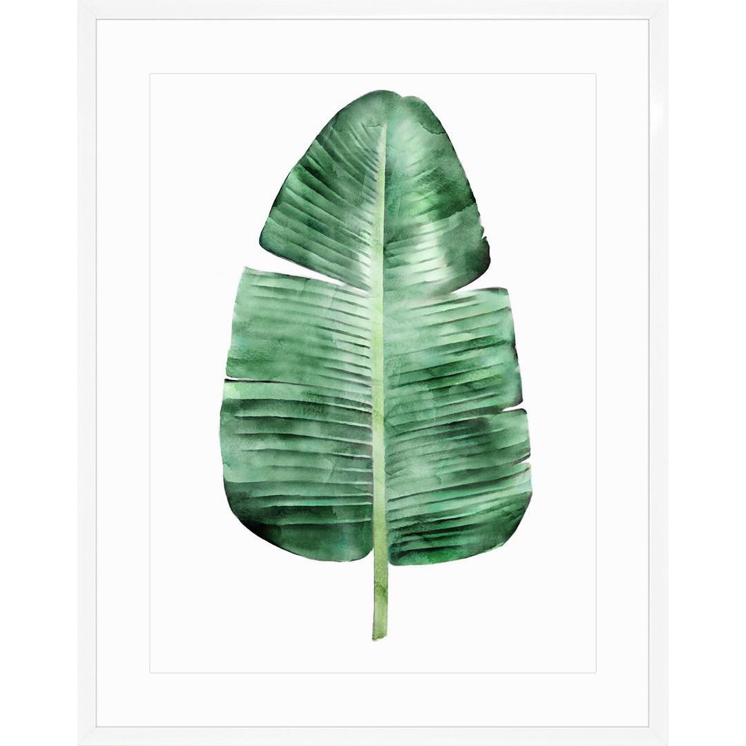 Tropical Leaf