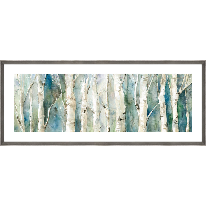 Birch Trees